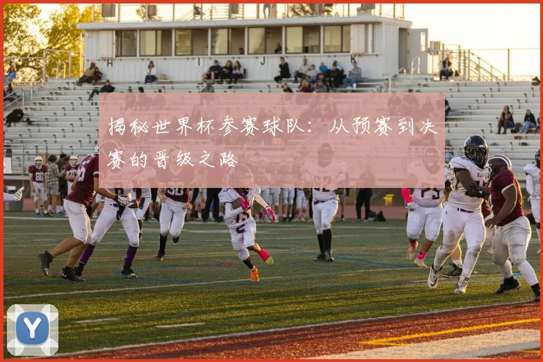 揭秘世界杯参赛球队:从预赛到决赛的晋级之路
