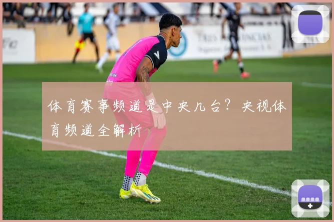 体育赛事频道是中央几台?央视体育频道全解析