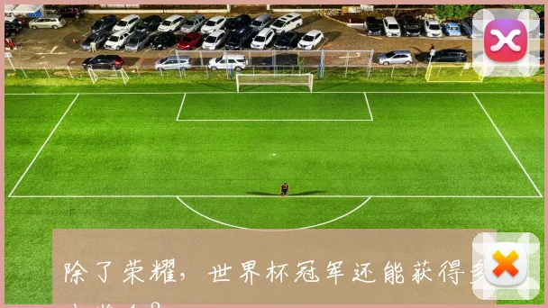 除了荣耀，世界杯冠军还能获得多少奖金？