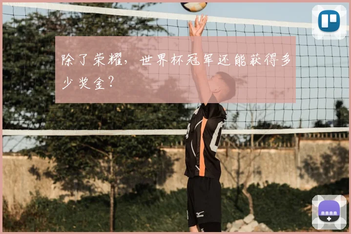 除了荣耀，世界杯冠军还能获得多少奖金？