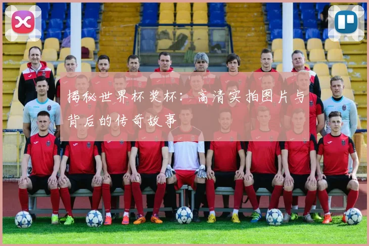 揭秘世界杯奖杯：高清实拍图片与背后的传奇故事